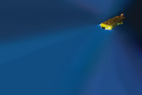 FlatFish: desenvolvido para verificar tubulações e plataformas no fundo do mar. Tem 2,20 m de comprimento e desce a 300 m de profundidade