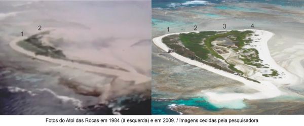 atol das rocas 1989 2009 1