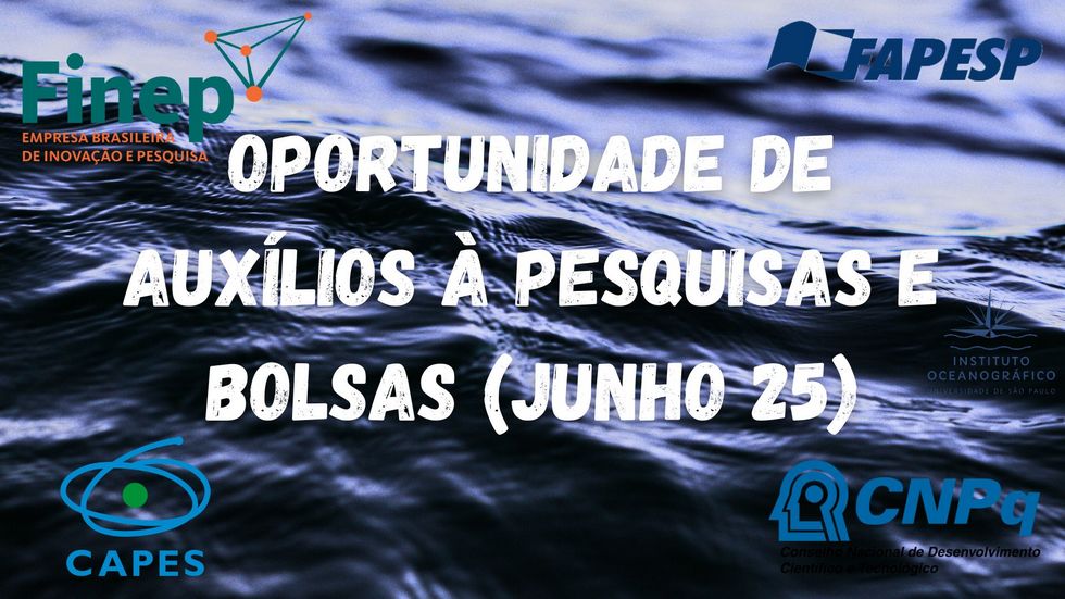 jun 25 site img bolsas e auxílios