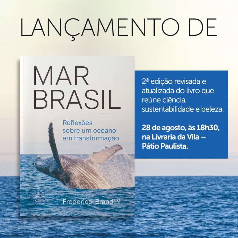 livro BBRANDINI