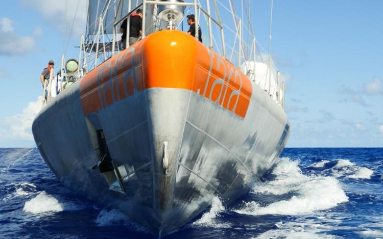 veleiro-cientifico-navega-pelo-litoral-brasileiro-para-investigar-o-microbioma-marinho
